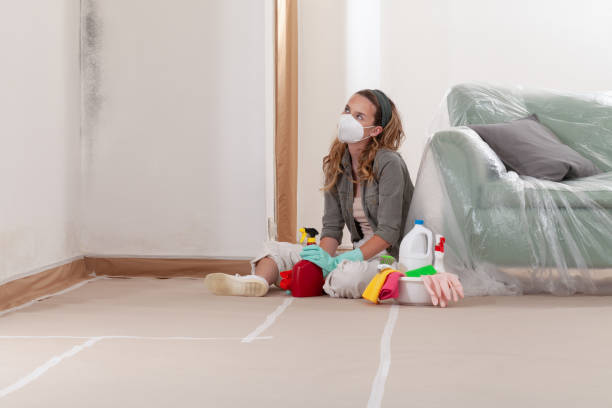 Reliable Mold Remediation contractor in Elizabeth City, NC by Cheap Mold Removal